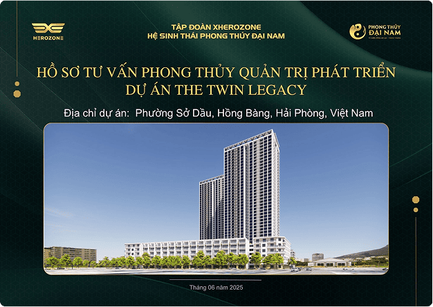 Professional Profile